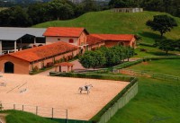 Haras BH: Excelência em criação e reprodução de cavalos