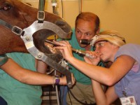 Faça o check up dental a cada seis meses