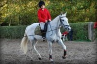 Um pouco mais sobre equitação